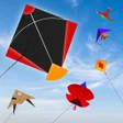 Icon of program: Pipa Kite Flying Festival…