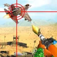 程序图标：Jet Sky War Fighter :Airp…