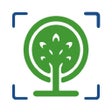 Ícone do programa: Forest Tree Identificatio…