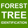 程序图标：Forest Tree Identificatio…