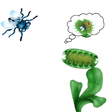 プログラムのアイコン：Flytrap