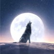 Icon of program: Moonovel