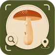 Programikonen: Champignons: Identifier …