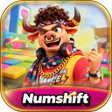 Icoon van programma: Numshift