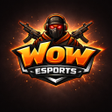 Icoon van programma: Wow Esport