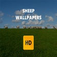 Icon of program: Sheep Wallpaper HD New Ta…