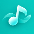 프로그램 아이콘: Local Music Player Launch…