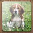 プログラムのアイコン：Dog Puzzle Games
