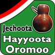Icon of program: Jechoota Hayyoota Oromoo