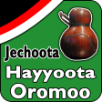 Jechoota Hayyoota Oromoo