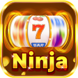 프로그램 아이콘: Ninja Darts Adventures