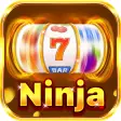 Ninja Darts Adventures