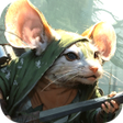 程序图标：King of Survival
