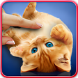 Icon of program: Purring cats live wallpap…