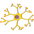 プログラムのアイコン：Neurophysiology