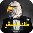 أيقونة البرنامج: رواية ملك الصقر