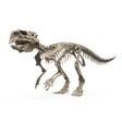 Ikona programu: Famous Fossil