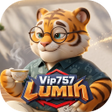 Programın simgesi: vip757Lumih