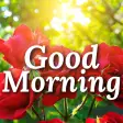Good Morning Images  Messages