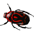 プログラムのアイコン：Beetles