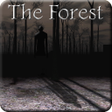 ไอคอนของโปรแกรม: Slendrina: The Forest
