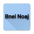 程序图标：Bnei Noaj