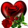 Icoon van programma: Hearts Love GIF