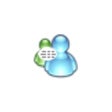 Ícone do programa: MSN Messenger Monitor Sni…