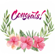 プログラムのアイコン：Congratulation Greeting C…