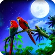 Icon of program: Parrot HD Wallpaper