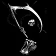 أيقونة البرنامج: Skeleton Wallpapers