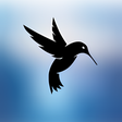 Icon of program: MindSky