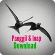 Icon of program: Suara Panggil Walet Berku…