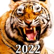 Horoscope 2022 - Chinese new y