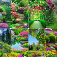 Ikona programu: Garden Wallpaper