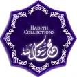 Hadith Collection 13 Books