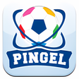 Pingel icon