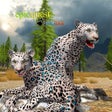 Icon of program: Leopards of the Arctic