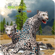 程序图标：Leopards of the Arctic