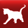 Ikon program: Cat Breed Auto Identify P…