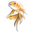 أيقونة البرنامج: Goldirection