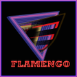 Icon of program: Passion Flamengo from Bra…