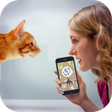 プログラムのアイコン：Cat Language Translator S…