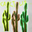 cactus hermosos