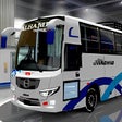 程序图标：Indian Livery Bussid