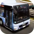 Bus Drivers: Europe