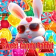 Sweet Candy Rabbit