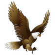 程序图标：King Bird OPC33333