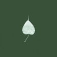Dharma Seed icon