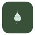 ไอคอนของโปรแกรม: Dharma Seed